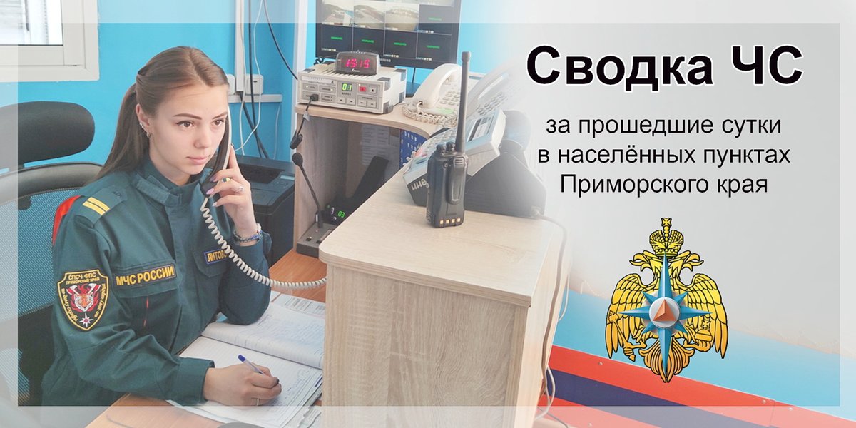 Мчс оперативная информация. Оперативная сводка о чрезвычайных ситуациях оо. органов управления и сил рсчс. график мчс россии на 22 год. мчс 1994 год россия.