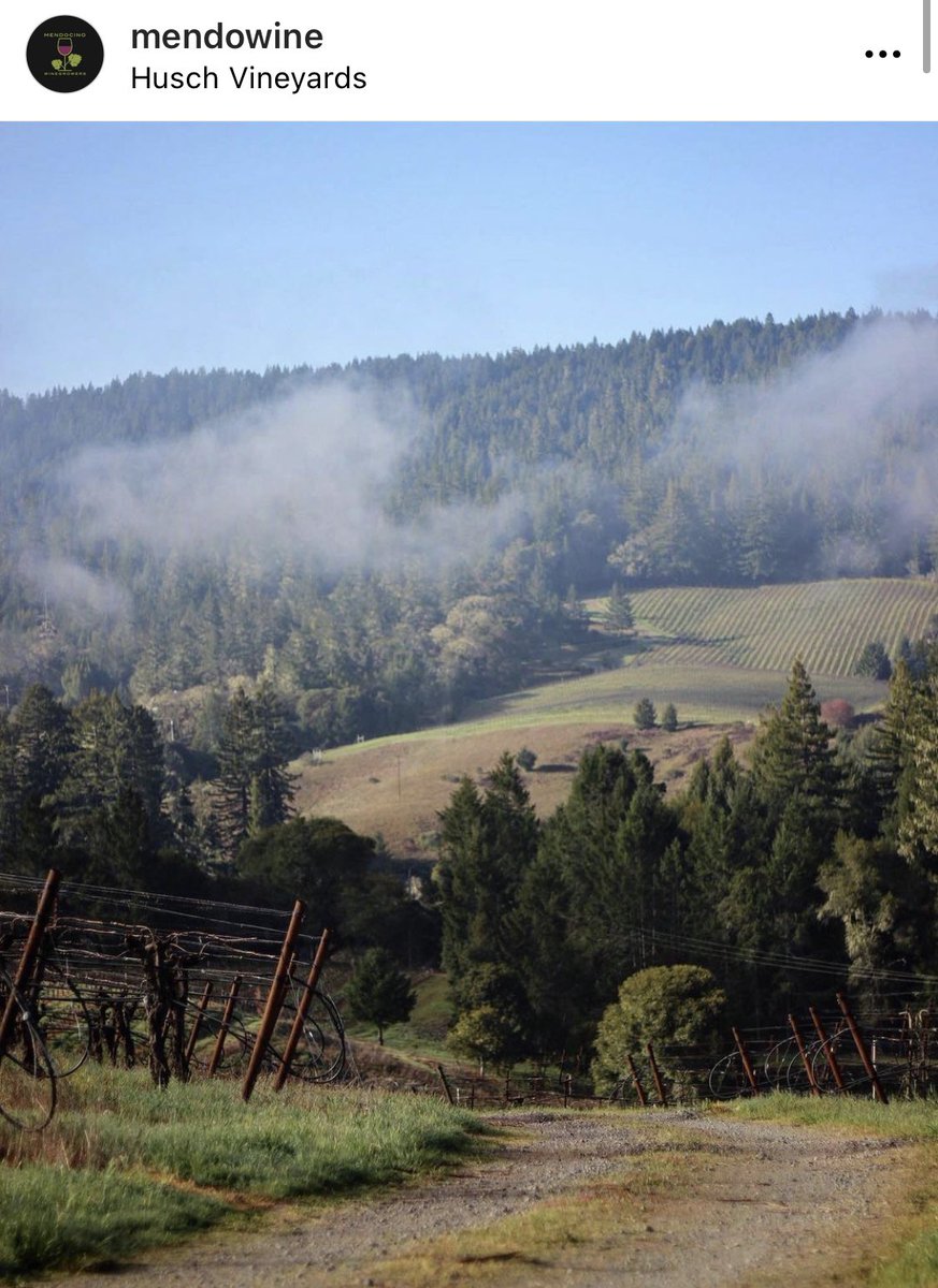 “<a href="/huschvineyards/">Husch Vineyards</a> bottling wine from their 50th vintage this year! Founded in 1971..some of the earliest varietal plantings on the valley floor”

Follow us through #mendowine