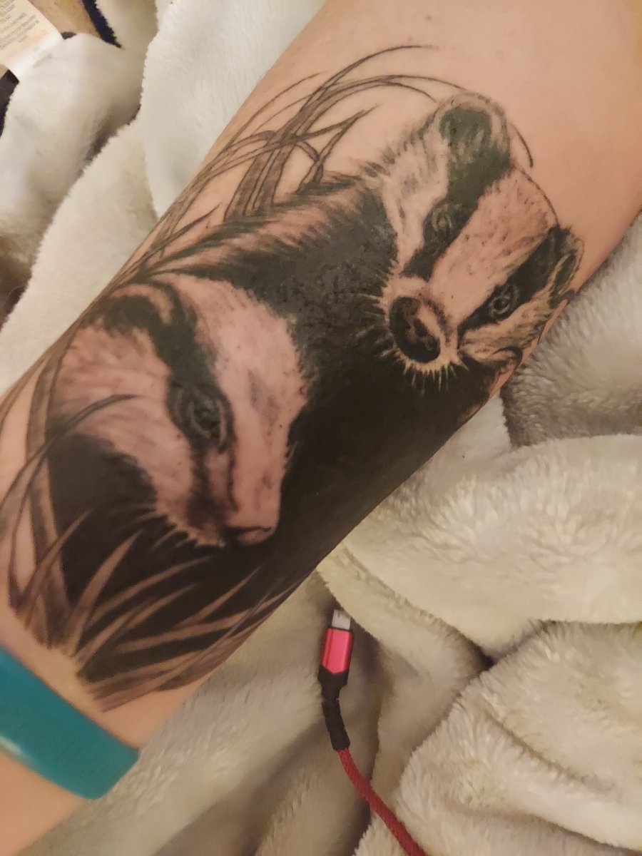 DerbyshireBVP's tweet photo. Day 726 #COVID19 #tuesdaymotivations #TuesdayTrivia #StandUpForBadgers " Wether its rehab, Vaccination,protection releasing β₯οΈ Badgers this is how some LOVE β€οΈ them/fight hard for them to be left in peace. @DerbyshireBEVS @bertie_lakeland @LumpyandFriends @BadgerTrust @domdyer70 https://t.co/omoF5480WR