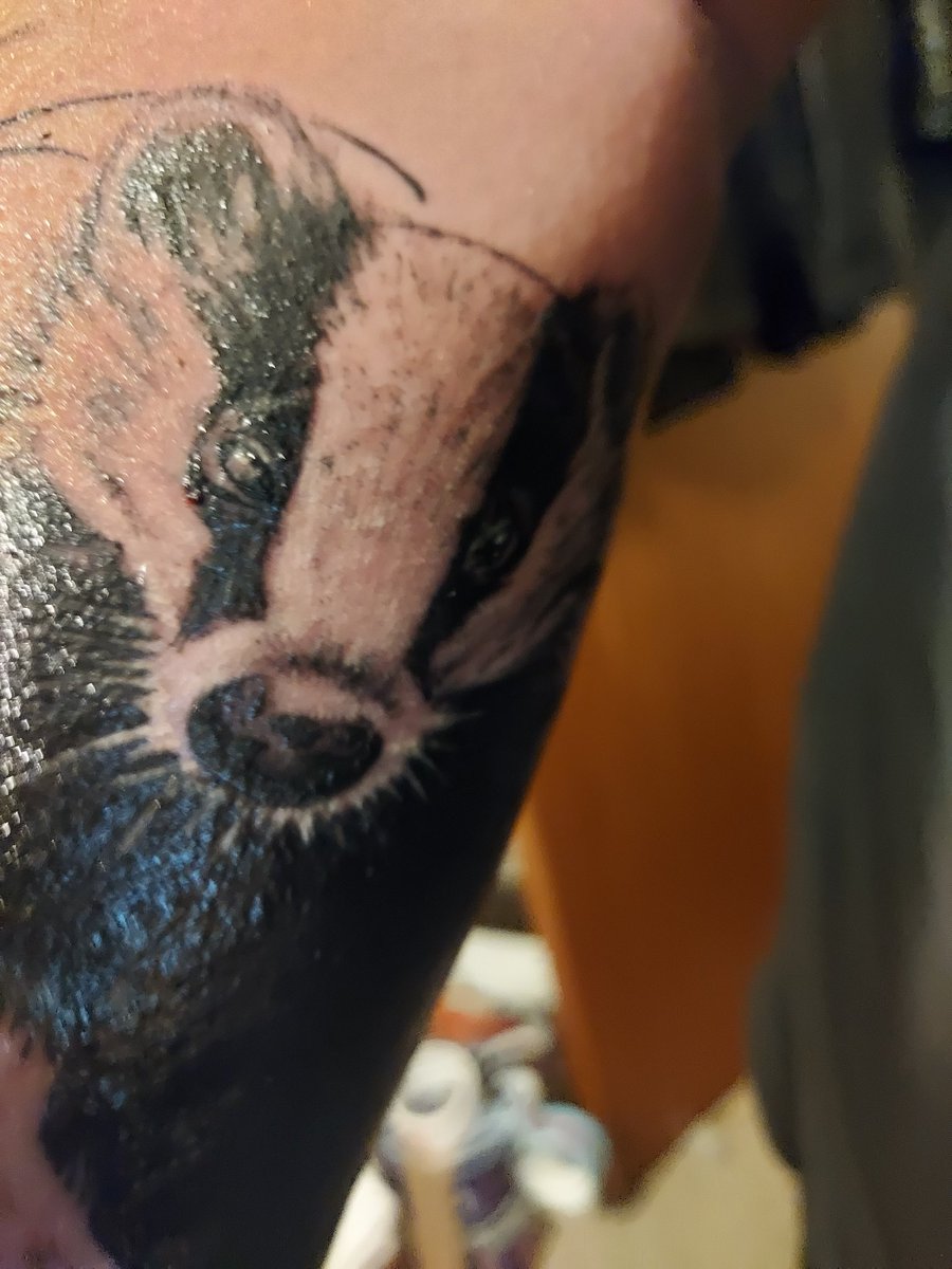 DerbyshireBVP's tweet photo. Day 726 #COVID19 #tuesdaymotivations #TuesdayTrivia #StandUpForBadgers " Wether its rehab, Vaccination,protection releasing β₯οΈ Badgers this is how some LOVE β€οΈ them/fight hard for them to be left in peace. @DerbyshireBEVS @bertie_lakeland @LumpyandFriends @BadgerTrust @domdyer70 https://t.co/omoF5480WR