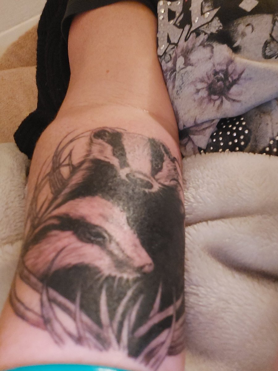 DerbyshireBVP's tweet photo. Day 726 #COVID19 #tuesdaymotivations #TuesdayTrivia #StandUpForBadgers " Wether its rehab, Vaccination,protection releasing β₯οΈ Badgers this is how some LOVE β€οΈ them/fight hard for them to be left in peace. @DerbyshireBEVS @bertie_lakeland @LumpyandFriends @BadgerTrust @domdyer70 https://t.co/omoF5480WR