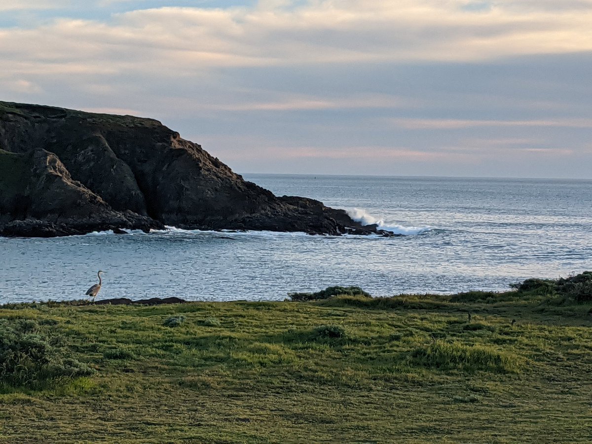 Deanna Beatty, PhD tweet media