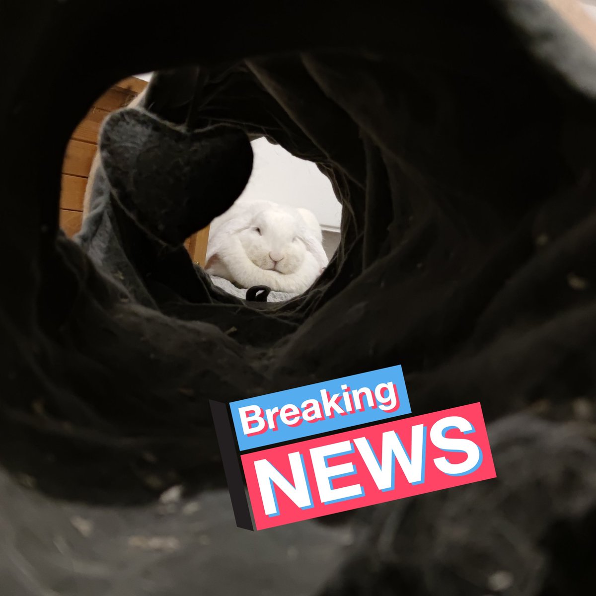 Jenny Göttsch tweet media