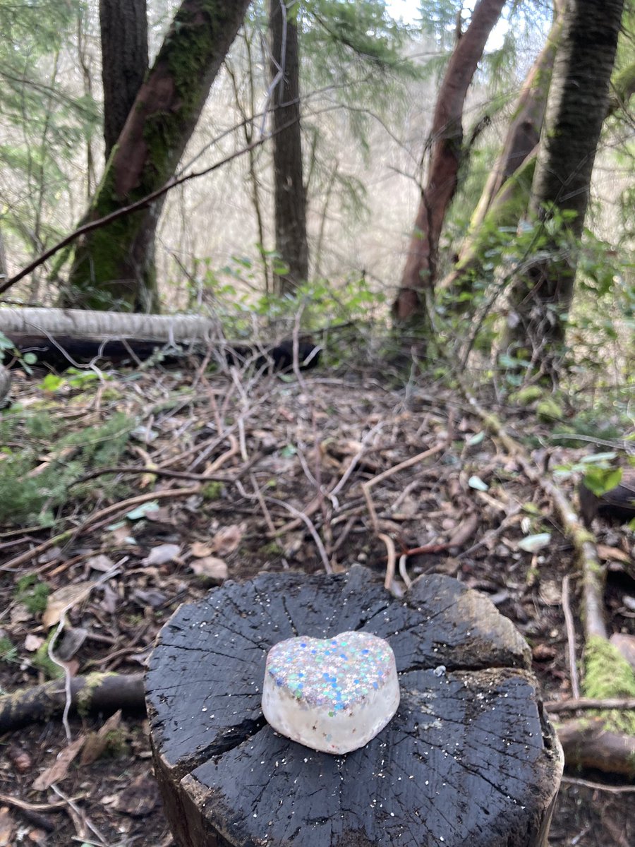 sunmonkey9's tweet image. #monkeyshines2022 haven’t seen a snake but I’ve seen more of a pond then a lake 👀