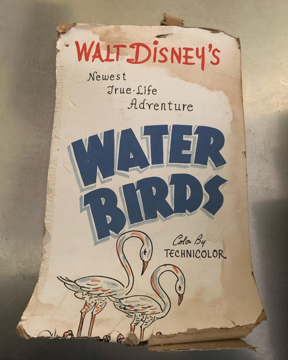 Smithtown_PAC's tweet photo. As we've been cleaning out the historical building, we've come across some amazing old posters from when the building was used as a movie house.
#spac #longisland #historicallongisland #waltdisney #disneyswaterbirds #smithtowntheatre #smithtownpac #vintagemovies https://t.co/Xp70Y6oVWl