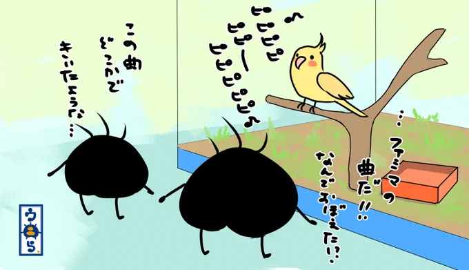 ウニら一家ペットショップへ行く編③長男がオカメインコが歌ってる聴き覚えのある曲が何だっけと考えてたら父ちゃんがファミマの曲だと…ペットショップの自動ドアも同じ曲だから覚えちゃったのねw#ゆるいイラスト #オリキャラ #イラスト #親子ウニら #ペット #オカメインコ #ファミマの曲 
