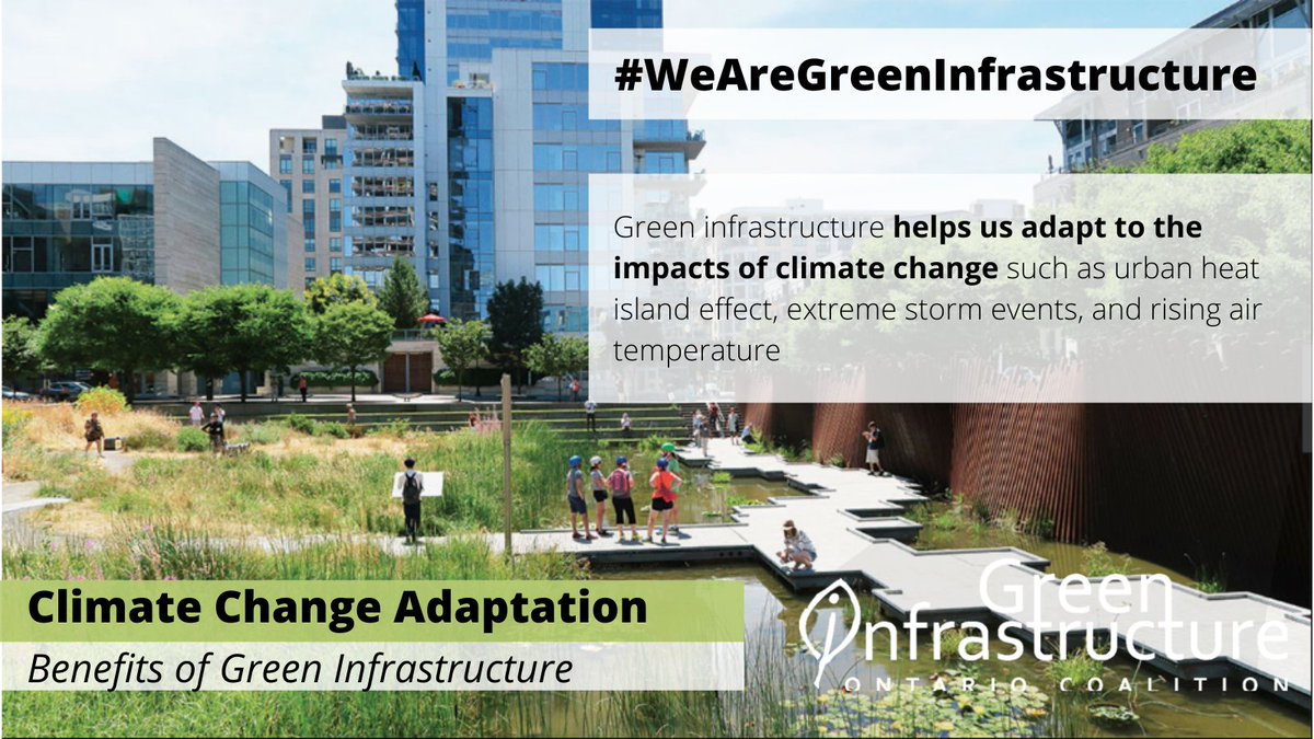 Green Infrastructure Ontario Coalition tweet media