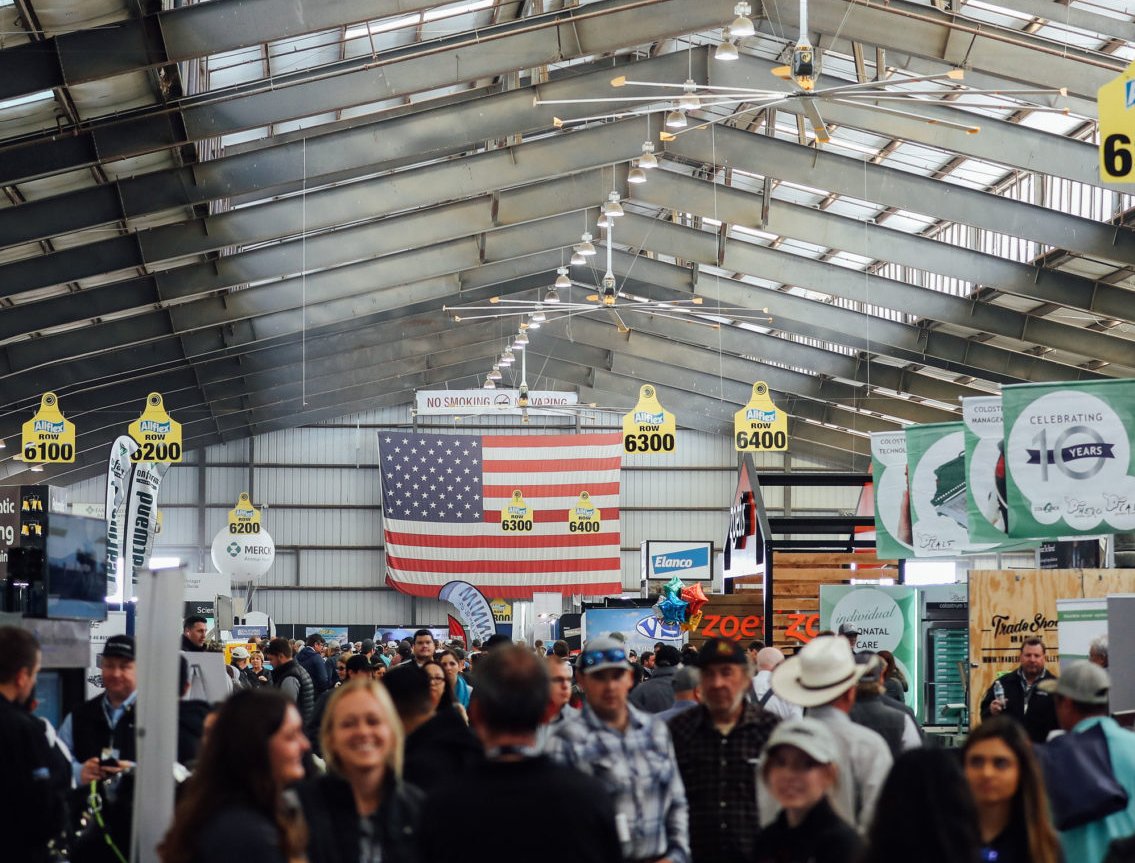 Pre-Covid, dairymen in the USA were realising, good people to keep the milk flowing were becoming harder to find. No matter what style of parlor you have, we have a Teatwand automated teat spraying solution for you.

Visit us at the <a href="/WorldAgExpo/">World Ag Expo</a>  - Exhibit Spaces 6220, 6221, 6222