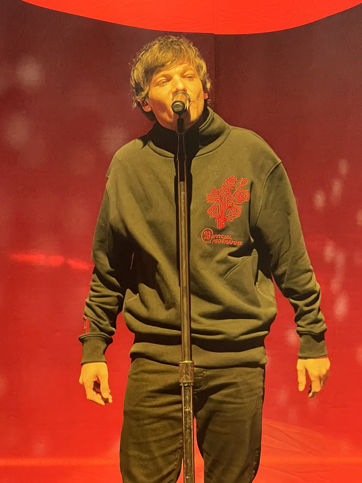 Louis Tomlinson Fashion on X Louis is wearing a customised turtleneck in black with red accents designed by himself. The embroidery shows a flower bouquet and the emblem reads 28 Official Programme