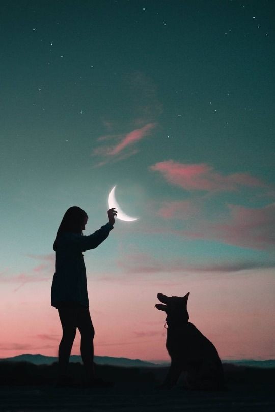 NecesitoUnPerro's tweet photo. Yo también le bajaría la luna a mi perrito!! https://t.co/sUuXRiXDs1