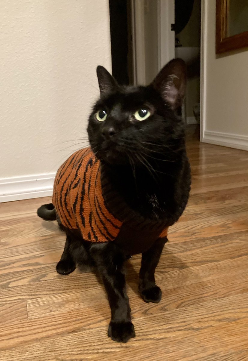 🇺🇦Midnight Daily💙💛 tweet media