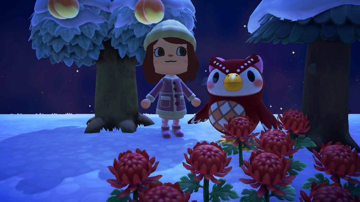 _eden_ralph_'s tweet photo. Happy Lunar New Year from Celeste &amp; Cole &amp; I!! #AnimalCrossing #ACNH #NintendoSwitch https://t.co/hM2UpnHc6N