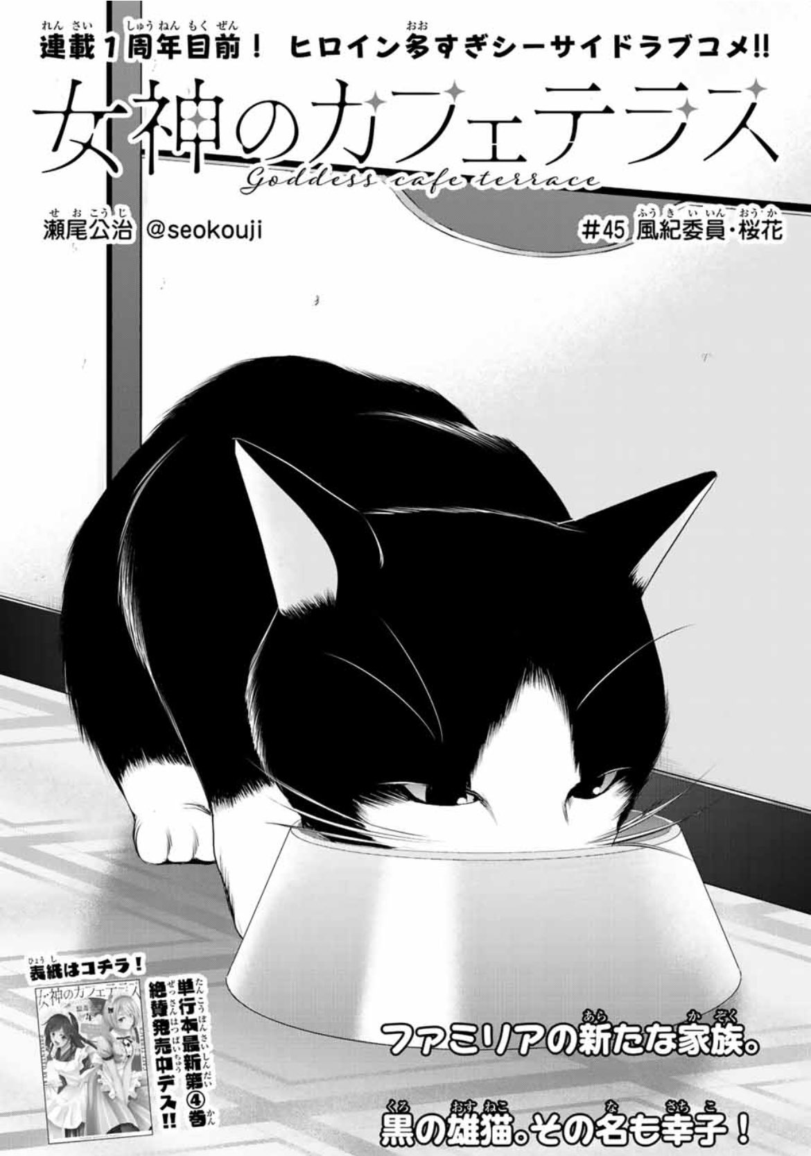 女神のカフェテラス公式@最新19巻4月16日発売♡ on X: 女神のカフェテラス公式@最新19巻4月16日発売♡ on X: