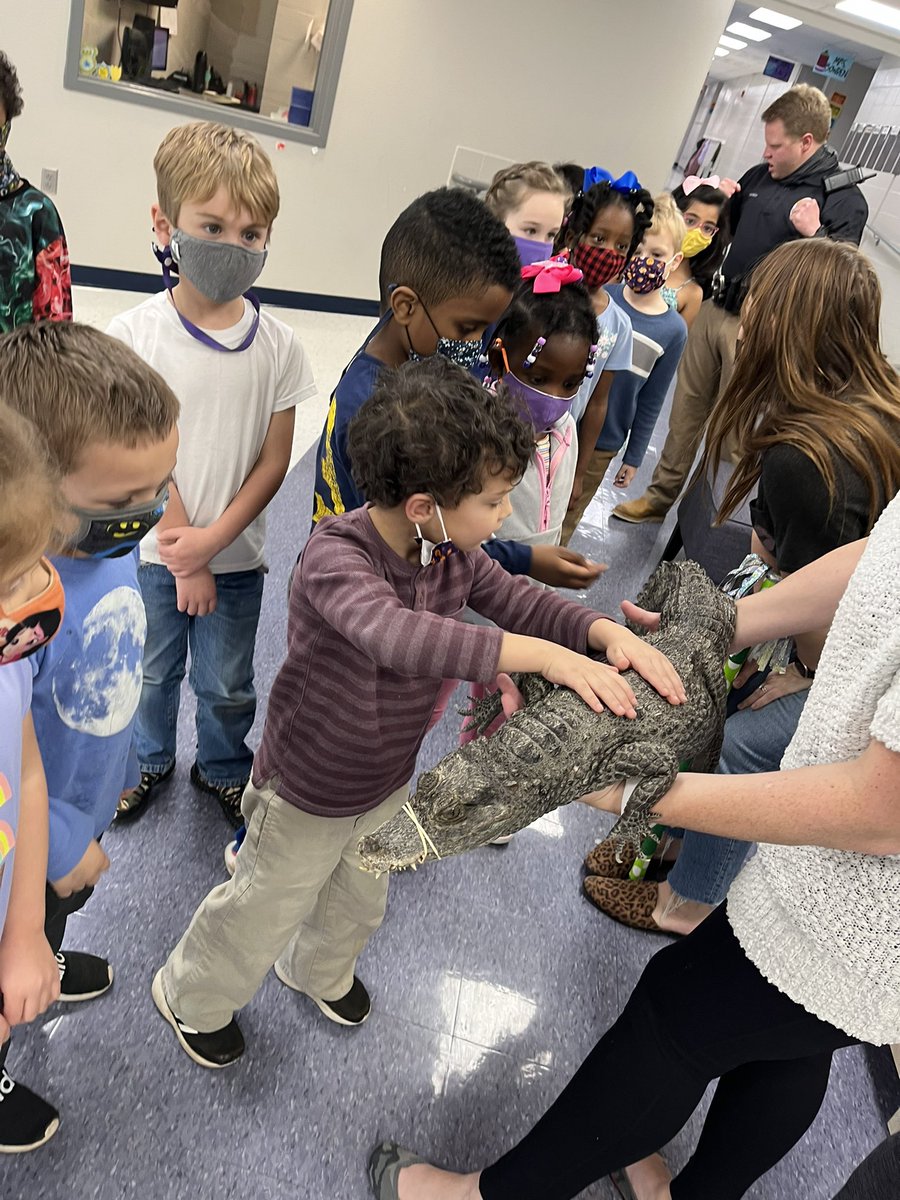 TaylorTweetsK's tweet photo. What an awesome surprise! Who’s ready to kiss a gator?#gvgatorstrong @GreenValleyElem https://t.co/rNek5c3LXJ