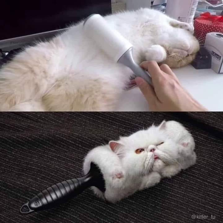 DigitalBamba (@digital_bamba) on Twitter photo 