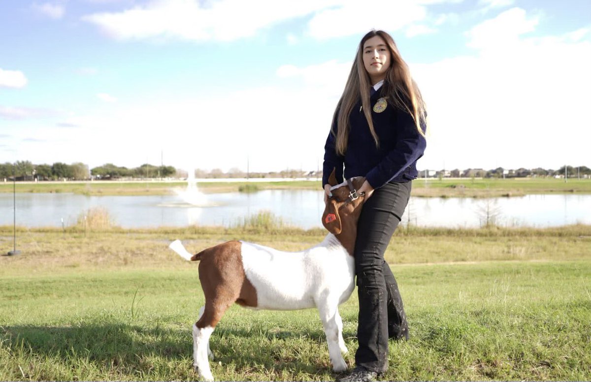 MaydeCreekFFA's tweet photo. The animal introductions are back!!

Meet Watson! Lauren’s goat, he’s a very energetic, happy, and loving goat! He is always ready to eat! He has a awesome looking pattern. #countdowntoshow #katyisd https://t.co/0kOqO3RKHa