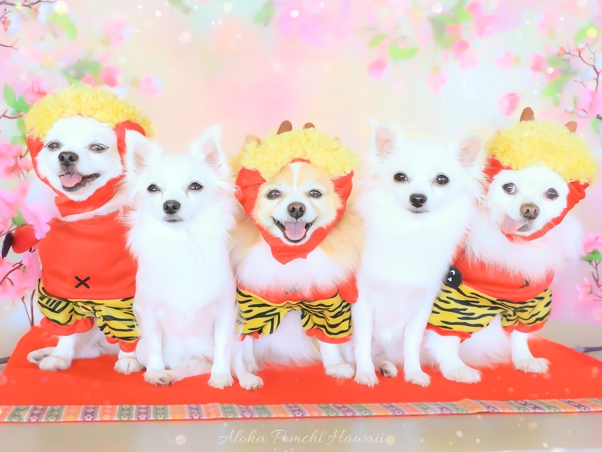 #節分 2話/3
5ワン皆そろって
楽しそうな鬼たち😈🎶
でしたが……