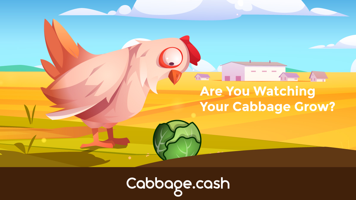 CabbageCashh's tweet image. 🥬  Grow Your $CABAG 🥬

&quot;The healthiest yield farm on #Avalanche!&quot;

Cabbage.Cash 🔗

#AVAX #DeFi #YieldFarming