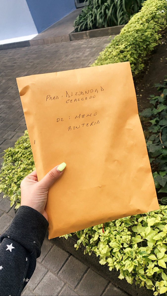 Alejandra Cerecedo tweet media