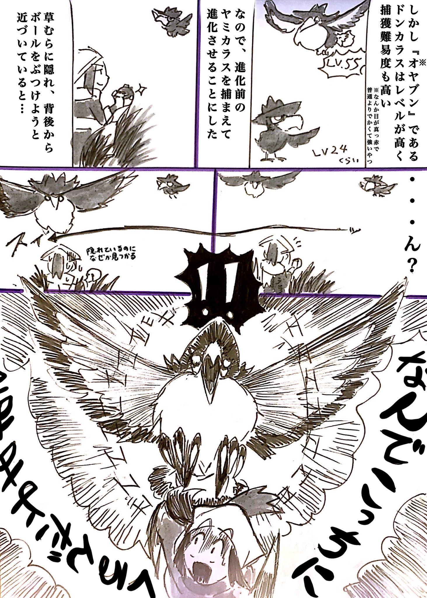 リヤヲ ドンカラスがヤバかったっていう漫画 全7p 1 2 Pokemonlegends ポケモンレジェンズアルセウス T Co Nb94djpksr Twitter