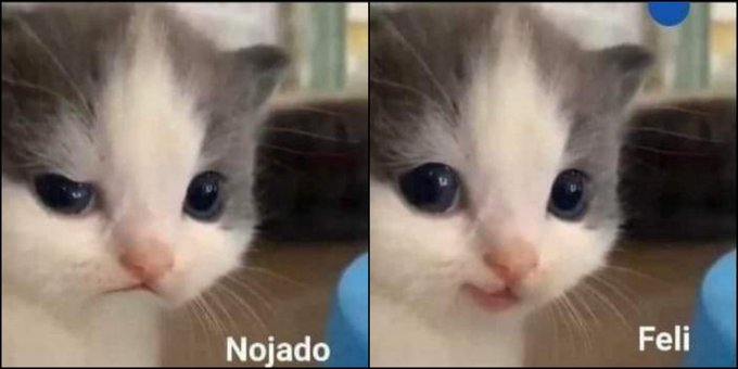yo antes de comer | yo despues de comer