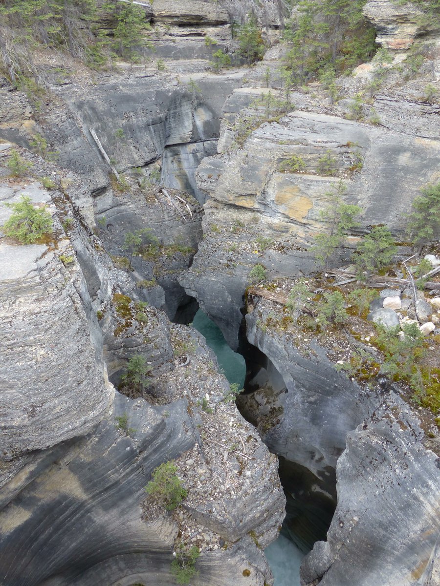 DaleALeckie's tweet photo. Did you know … that Mistaya River and Canyon in Banff National Park are named for the Stoney Nakoda word for grizzly bear? https://t.co/dVixcuievE #ABparks @Albertaparks @playoutsidegal @CrowfootMedia @BucketlistAB @Alberta #exploreAB #bikeAlberta #BucketlistAB @TravelAlberta https://t.co/8X2NeXJr4n