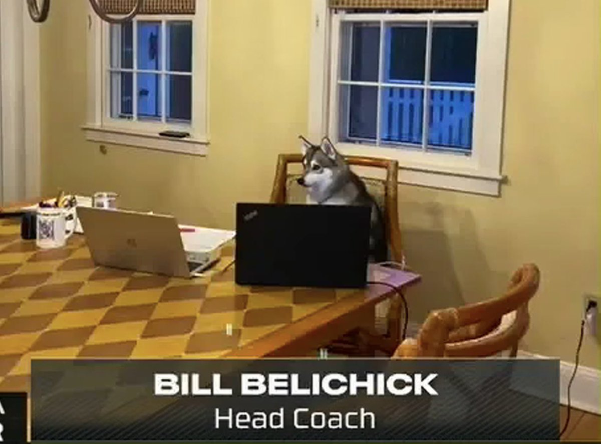 NFLMemes's tweet photo. Belichick: "It wasn't me who sent
those texts"

Flores: "Then who was it?"

Belichick: https://t.co/3poGaLBYBa