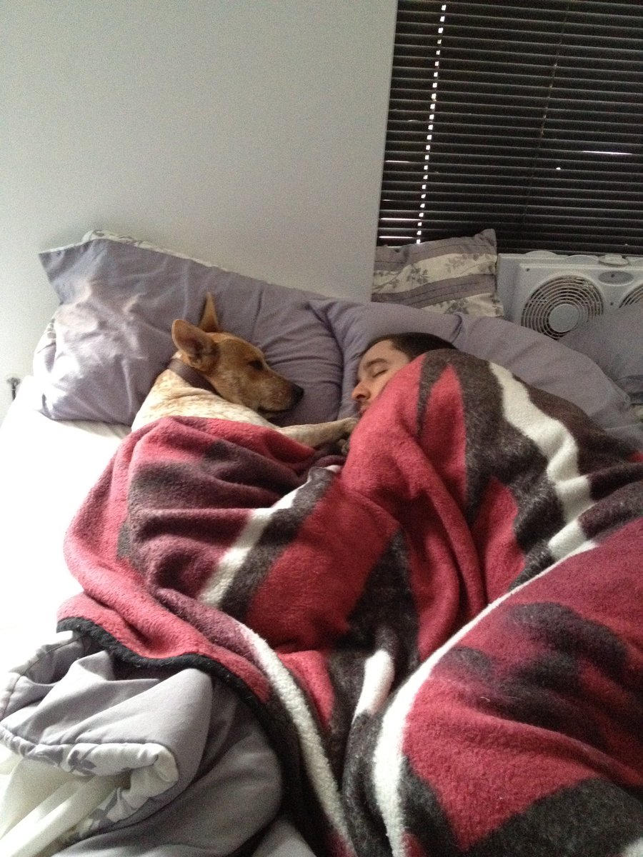 THEOhioSunDevil's tweet image. Today was one of the hardest days of my life as I had to say goodbye to my best friend of 13 years. My life will never be the same without him, but he enriched my life in ways that I couldn’t have imagined. Fitz brought a joy to my life that I didn’t know was possible.