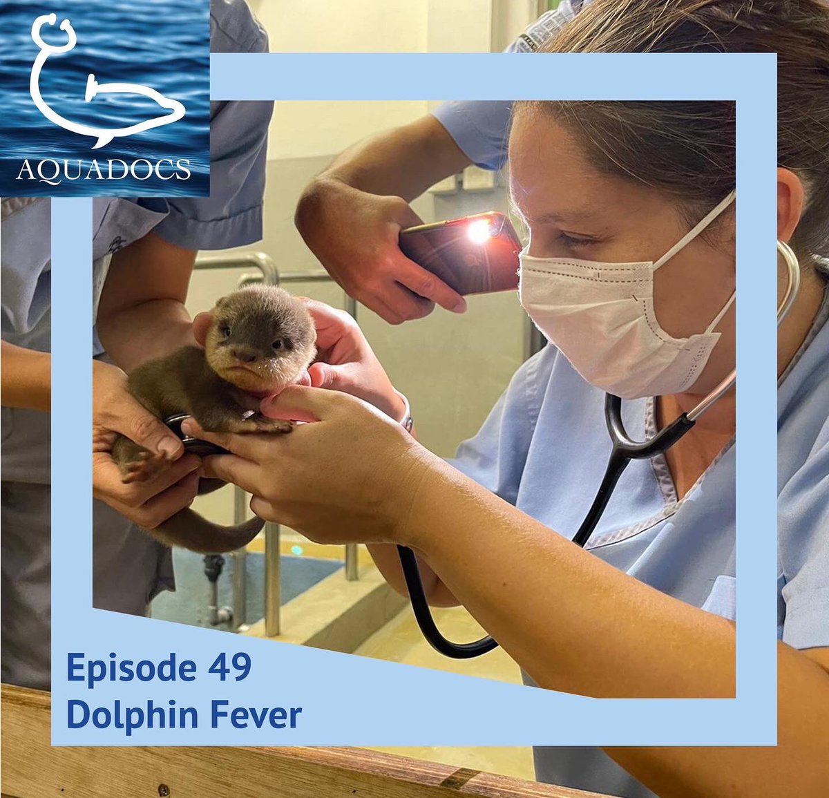 To kick off our 2022 season we spoke with Dr. Sarah Churgin, who shared the perks and challenges of practicing in a different country, Hong Kong! She discussed learning how to do root canals on dolphins and the Melioidosis disease in Asian dolphins.