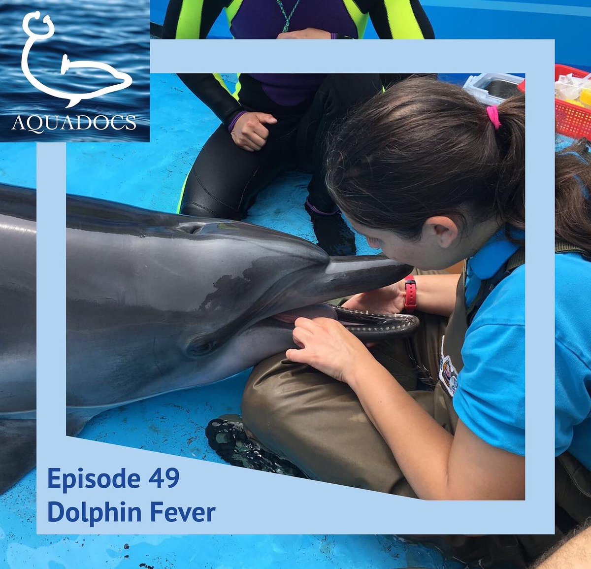 AquadocsPodcast's tweet photo. To kick off our 2022 season we spoke with Dr. Sarah Churgin, who shared the perks and challenges of practicing in a different country, Hong Kong! She discussed learning how to do root canals on dolphins and the Melioidosis disease in Asian dolphins. https://t.co/nfZtZ9Khqt