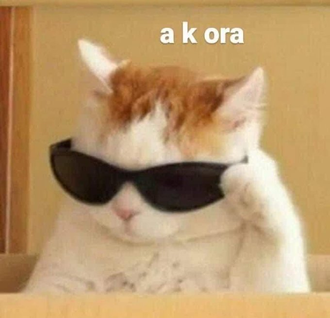 cornulda's tweet photo. - mis amigas: vamos a salir 

- yo sin plata y sin permiso: https://t.co/jScQMjl6uD
