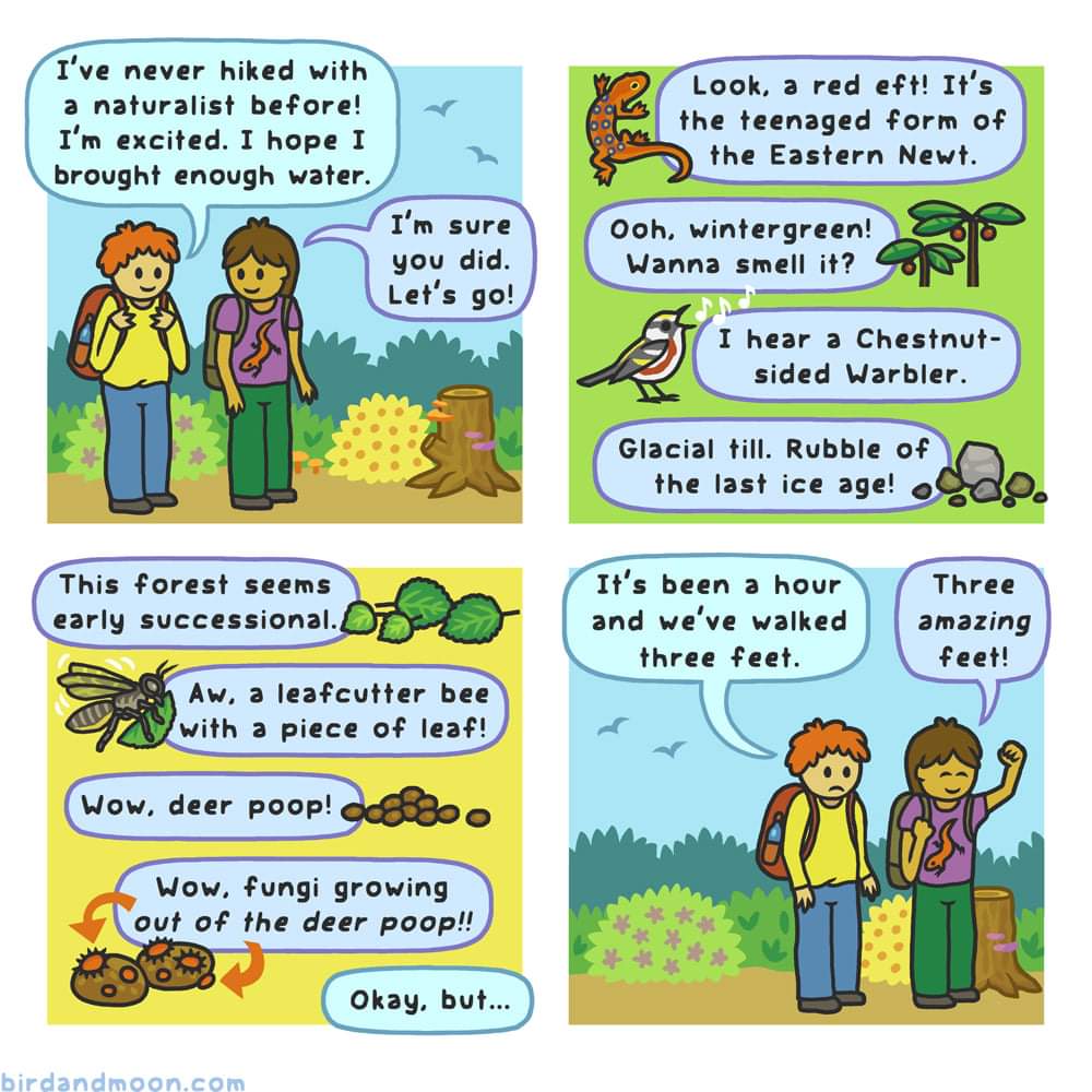 Totally what it is like at the OLC with <a href="/OutdoorAmy/">Amy Hollenshead</a>! #NISDoutside
(Image from Bird and Moon Comics)
