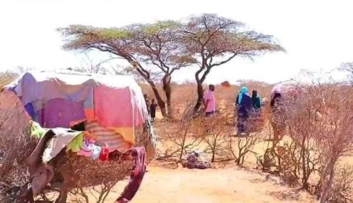 theoromiadailyp's tweet photo. What happened in #Booranaa a while ago is now happening in Balee! Balee was a breadbasket for our nation and they are suffering now. Please find a connection and extend your helping hands! #Balee https://t.co/YGywbD01CA