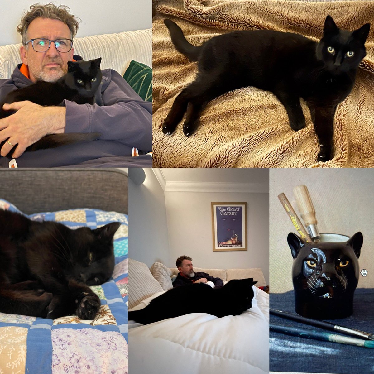 Gavin Wilkinson tweet media