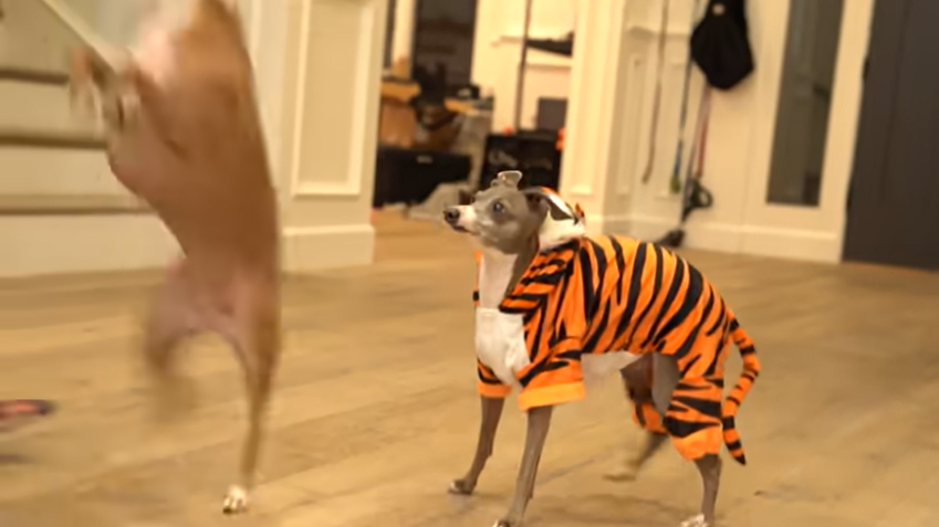 The Nasty Files📁 tweet media