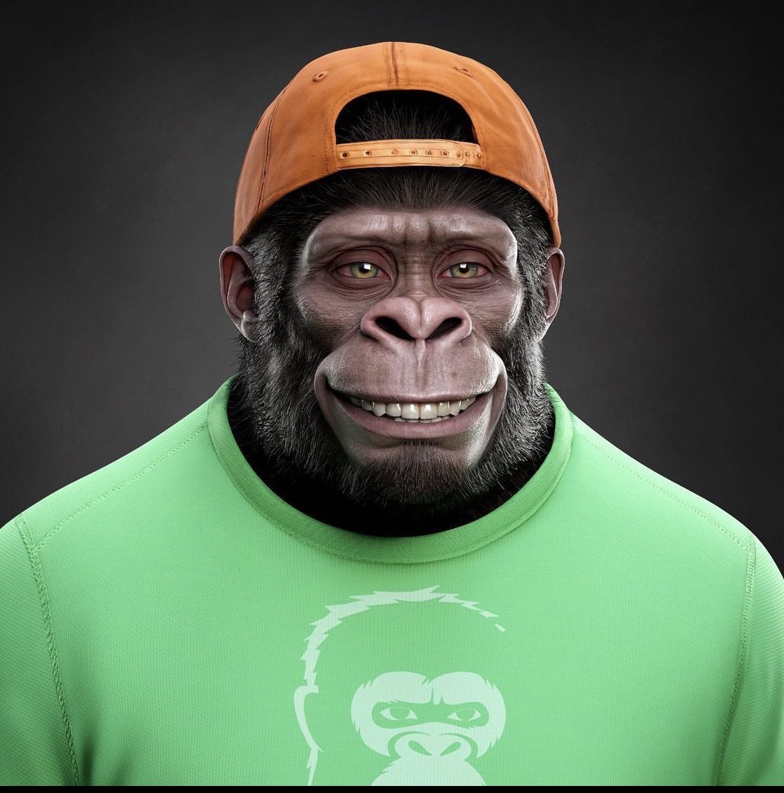 Sarah F. 🌞 tweet media