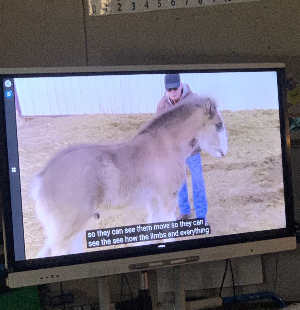 mrsengels2nd's tweet photo. We loved celebrating our ❤️ for Kansas this past week with learning about our state symbols, maps (making them edible makes them more fun of course!), state history, reasons we love our state, and some fun Edventure virtual field trips!! #BGSlearn #313teach https://t.co/BPVQPSCajJ