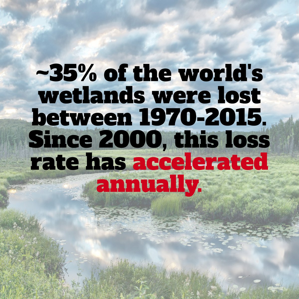 Celebrate this World Wetlands Day by signing the petition to save Graeme Hall Wetland, one of the last remaining wetlands in Barbados: bit.ly/3r1ukhj.

Value, manage, restore, love. #WorldWetlandsDay #ActForWetlands #Barbados #SaveBajanWetlands