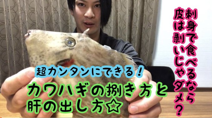 カワハギ捌き方のtwitterイラスト検索結果