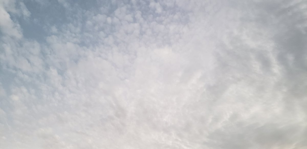 Mantiscatstuff's tweet photo. These clouds, on point tonight https://t.co/6ibqktxdFY