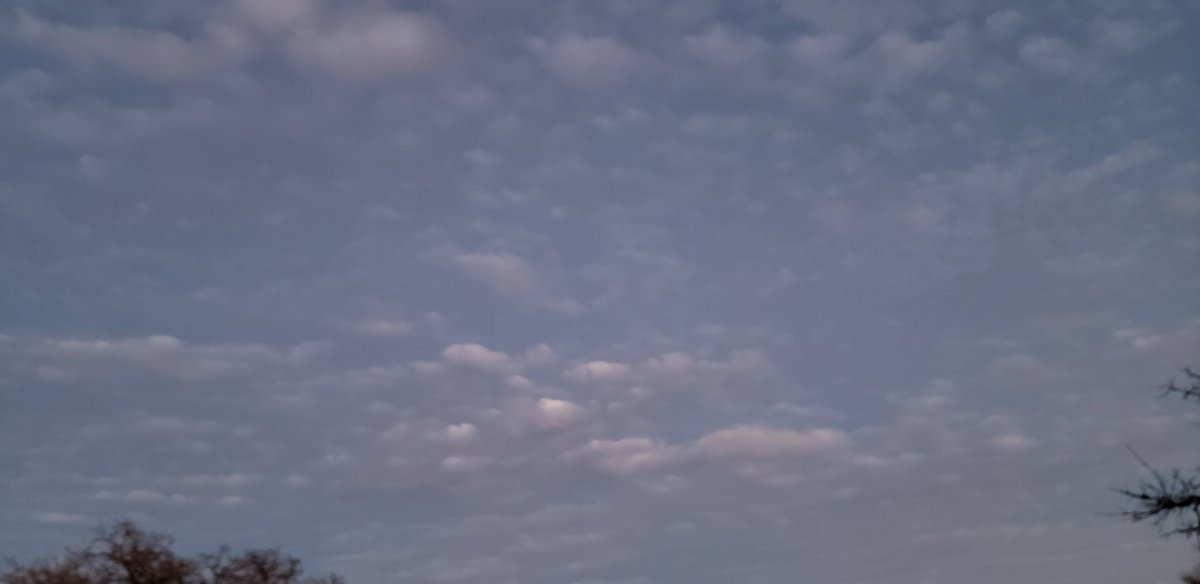 Mantiscatstuff's tweet photo. These clouds, on point tonight https://t.co/6ibqktxdFY