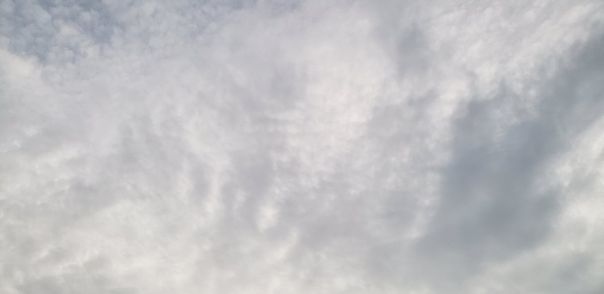 Mantiscatstuff's tweet photo. These clouds, on point tonight https://t.co/6ibqktxdFY