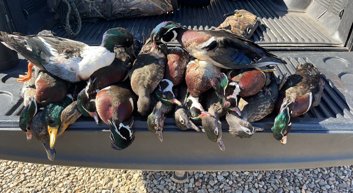 chase_fitz20's tweet photo. We had a hell of a last weekend! #Didntgo20 https://t.co/wb7w3db3h3
