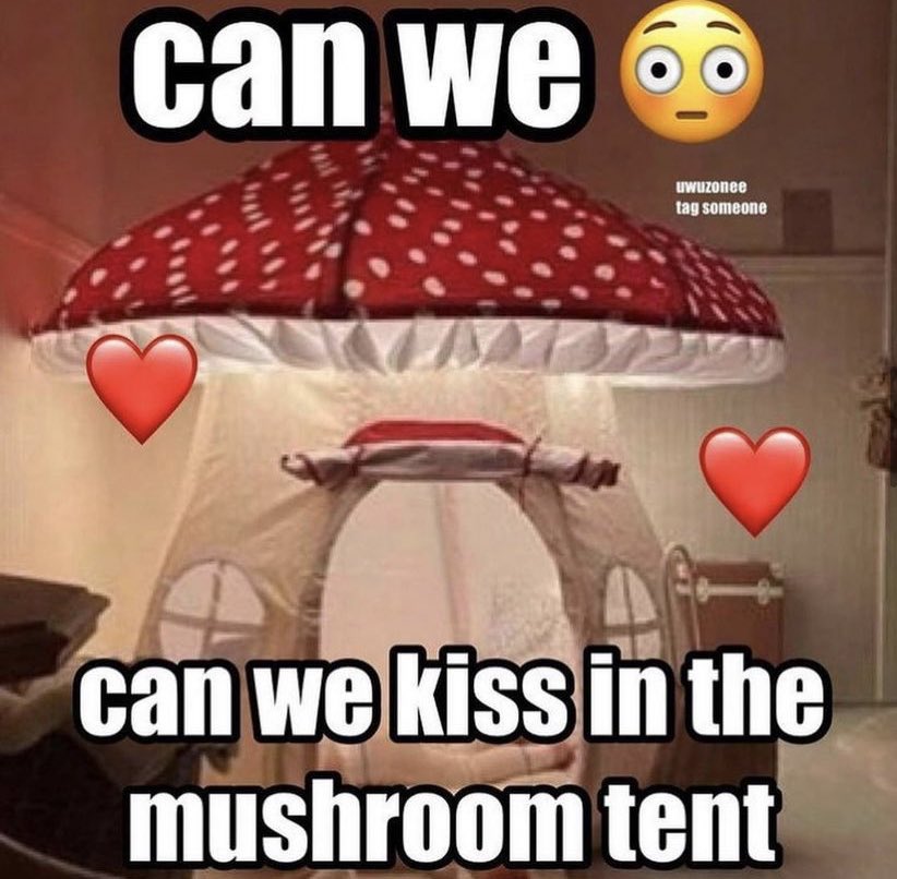 not cute & kinky memes (@cravedcuddle) on Twitter photo 