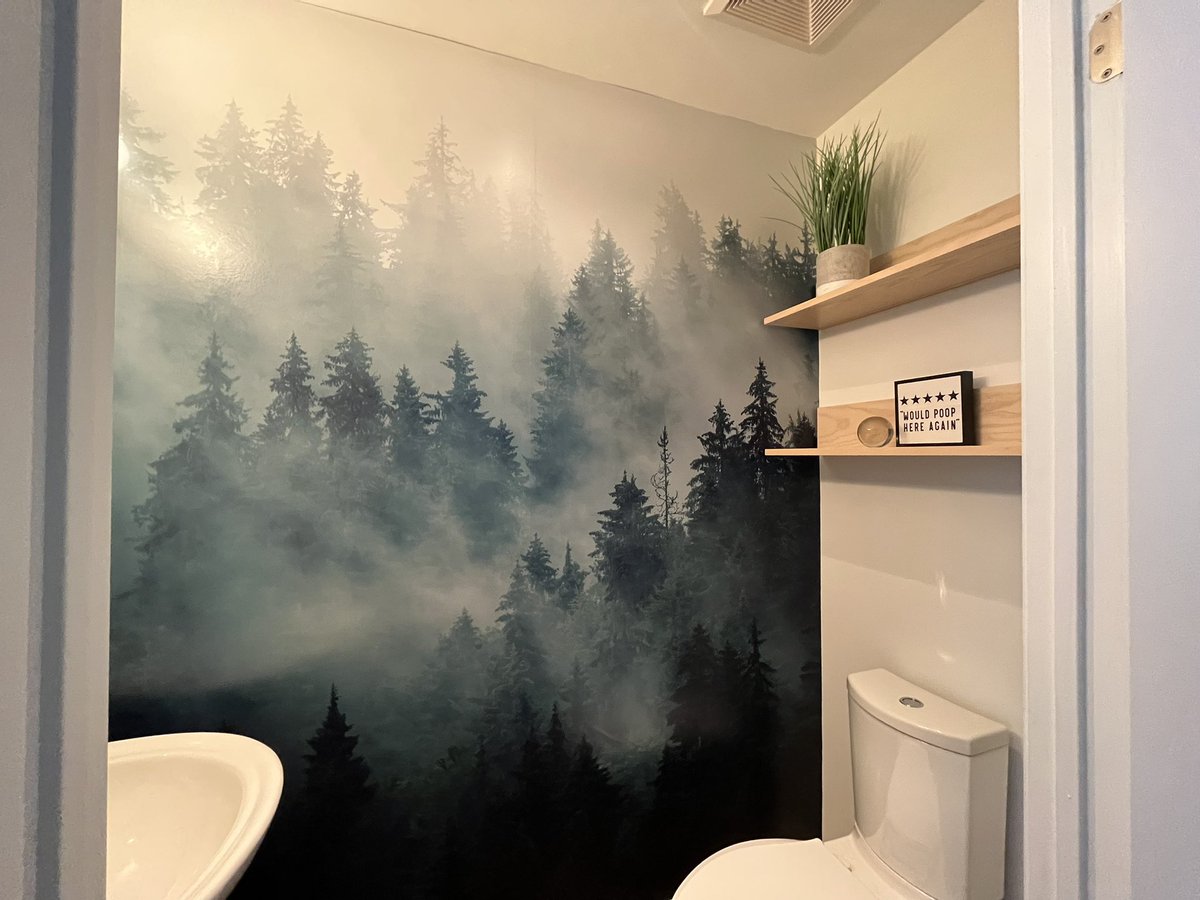 KevinBellefonta's tweet photo. @Cmdr_Hadfield @NASA Would make a Great Wall mural. This is our powder room. I could size it and manipulate it for you for any space @Cmdr_Hadfield https://t.co/QA9D6chGJP