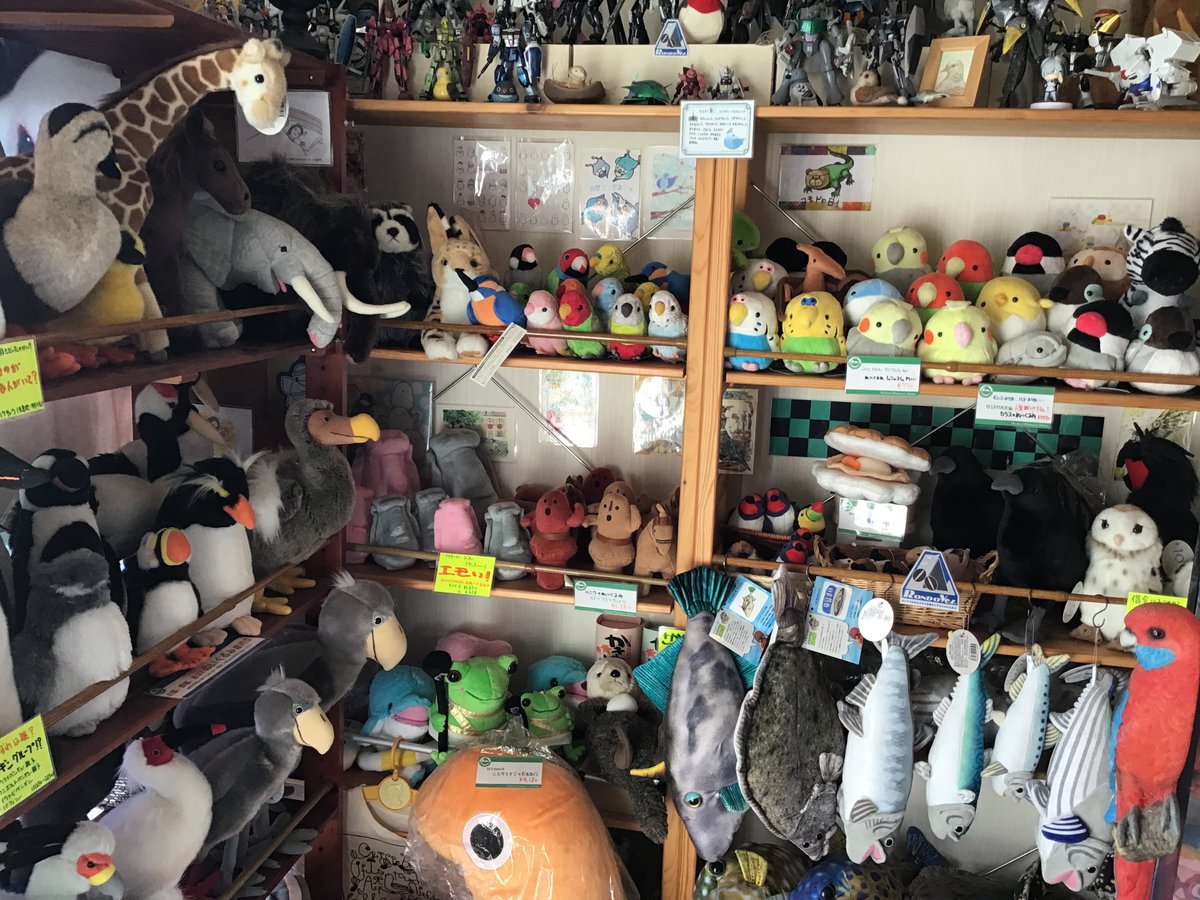 Wahoo_Wahoo_164's tweet photo. ゾウにキリンも文鳥も！

ぬいぐるみも多数販売のコーヒー専門店☕️ロンドベル、本日も営業中♪

ｸﾙｯﾎﾟ! ⋛⋋( ‘◇’)⋌⋚ ｸﾙｯﾎﾟｰ!! https://t.co/A7IE9zXn7c