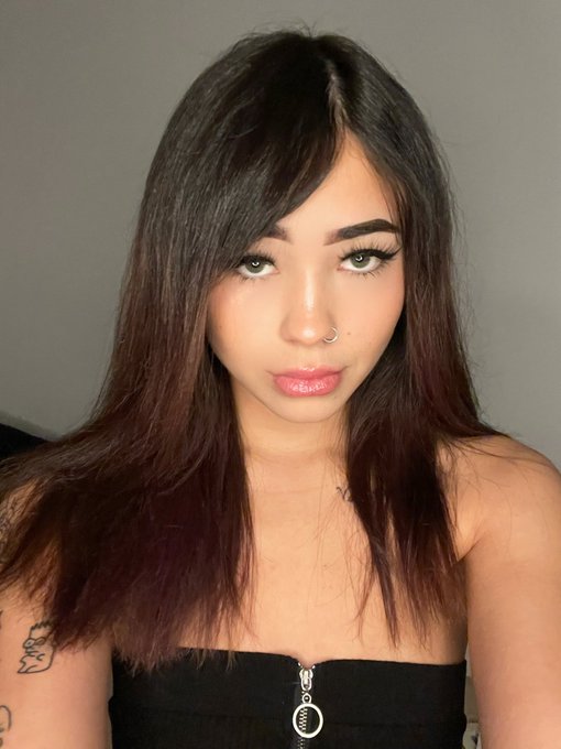 TW Pornstars - Bec ∘°∘♡∘°∘ Top 4% 45k. The latest pictures and videos from Twitter for all time