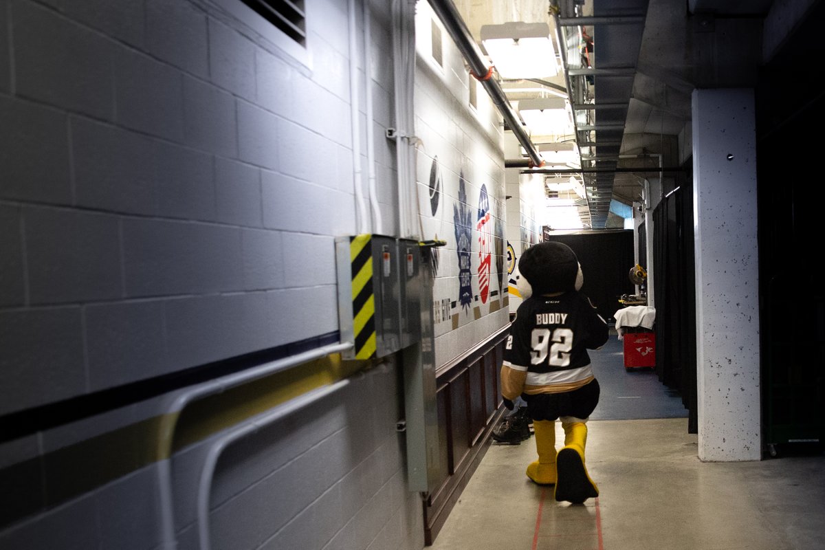 Newfoundland Growlers (@nlgrowlers) on Twitter photo 