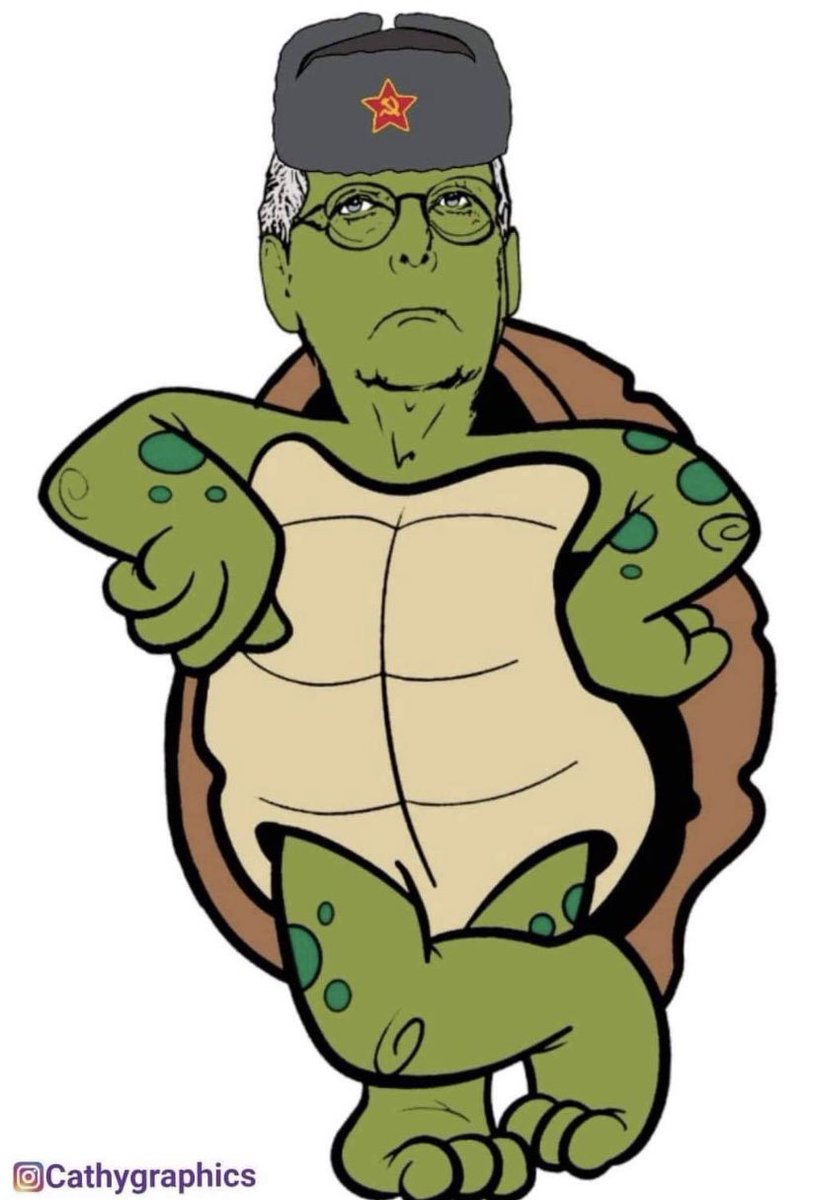 CathyGraphics3's tweet photo. #TurtleMitch https://t.co/SZqlBEF2S0