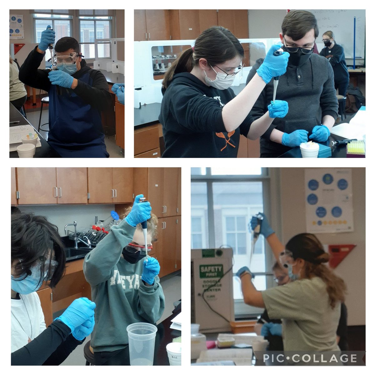Wierzbowski_Bio's tweet photo. Biotechnology students were tasked with determining which test samples contained the ampicillin resistance gene. They completed their first PCR reactions and then visualized their results yesterday. Success! #MassBioEd #ABEMA #Biotechexperience https://t.co/JxW4GUcjIs